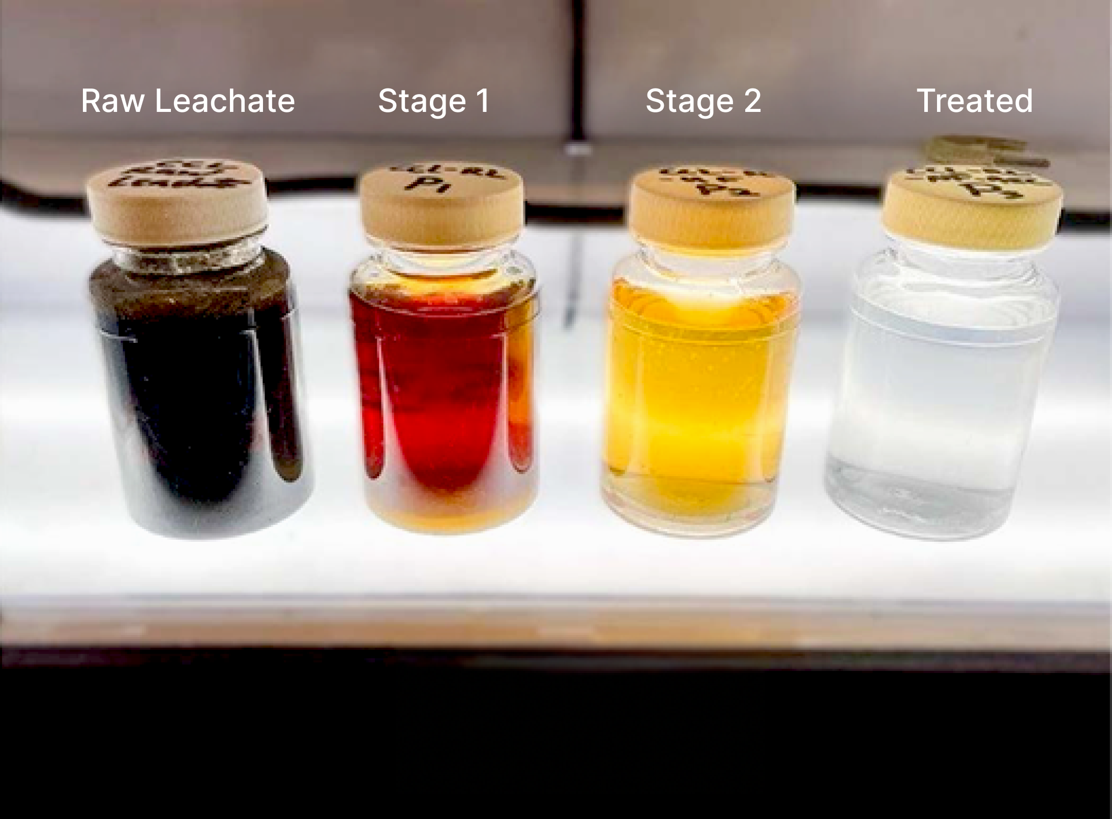 Four vials of leachate throughout the leachate treatment process. The unprocessed one on the left is the darkest and the treated one on the right is clear.